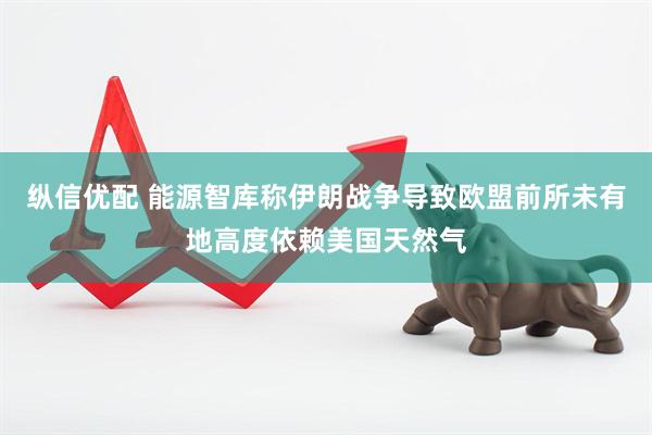 纵信优配 能源智库称伊朗战争导致欧盟前所未有地高度依赖美国天然气